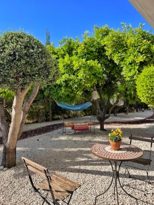Teo Apartment Pafos Zewnętrze zdjęcie