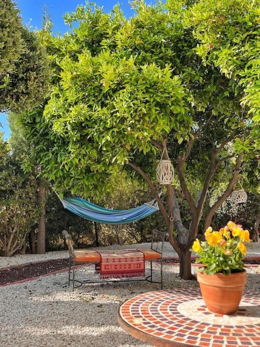 Teo Apartment Pafos Zewnętrze zdjęcie